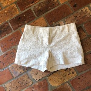 Loft lace shorts